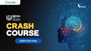 MAPC FIRST YEAR CRASH